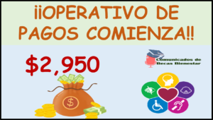 Pensión para Personas con Discapacidad 2023: ¡$2 mil 950 pesos! Serán Depositados a tu Tarjeta en las Próximas Horas ¡Grita de felicidad!