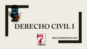 Derecho Civil I Resumen PDF