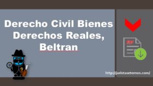 Derecho Civil Bienes Derechos Reales, Beltran PDF