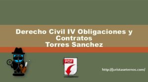 Derecho Civil IV Obligaciones y Contratos Torres Sanchez PDF