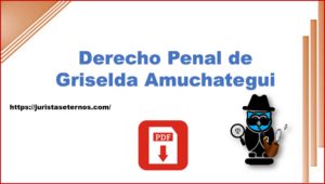 Derecho Penal de Griselda Amuchategui PDF