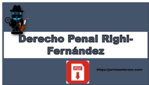 Derecho Penal Righi-Fernández PDF