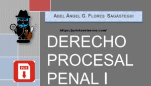 Derecho Procesal Penal I de Sagástegui PDF
