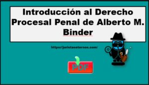 Introducción al Derecho Procesal Penal de Alberto M. Binder PDF