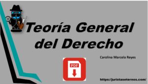 Teoría General del Derecho de Marcela Reyes PDF