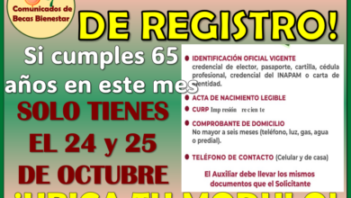 Adulto Mayor de 65 años últimos días de registro no te quedes fuera ¡ASÍ REGISTRATE!