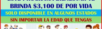 ATENCION BENEFICIARIOS CONOCE CUAL ES LA PENSION QUE TE PUEDE DAR $3,100 PESOS DE POR VIDA