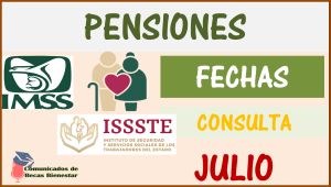 ¡IMPORTANTE!, estos son los tres pagos que recibirán Adultos Mayores en el mes de JULIO| Infórmate