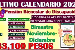 Conoce el Calendario de Pagos de la Pensión Bienestar de Discapacidad Bimestre Noviembre-Diciembre 2024