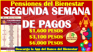 ¿Quienes cobran esta segunda semana de pagos de las Pensiones del Bienestar?, aquí te comparto la información