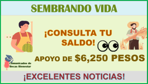 Sembrando Vida: depósito de $6,250 pesos Inicio de pago