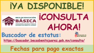 Becas Benito Juárez 2023: ¡Buenas Noticias! Ya puedes consultar FECHA EXACTA para PAGO a alumnos de Nivel Básico ¿qué esperas?