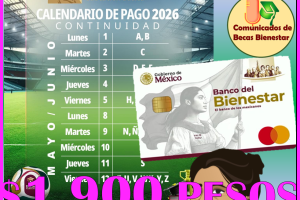 CALENDARIO DE PAGOS DE LA BECA RITA CETINA CONTINUIDAD 2026: TERCER BIMESTRE