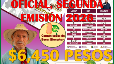 Ya hay Calendario Oficial de Pagos para todos los beneficiarios de Sembrando Vida 2026, aquí te lo cuento