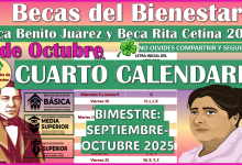 ¿Como quedaria el siguiente Calendario de Depósitos de las Becas del Bienestar? aqui te informamos
