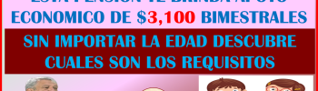 PENSIONES BIENESTAR DESCUBRE EN QUE ESTADOS PUEDES RECIBIR $3,100 PESOS DE AYUDA ECONOMICA