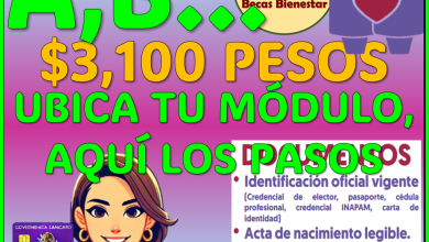 ¿QUE NECESITAS PARA TU PRÓXIMO REGISTRO? AQUI TE EXPLICO: PENSIÓN MUJERES BIENESTAR DE 60 AÑOS