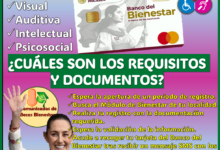 Discapacidades que forman parte de la Pensión Bienestar de Discapacidad: ¿Próximo registro?