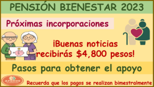 Apoyo económico para adultos mayores de 65 años ¡Te decimos aquí como acceder!