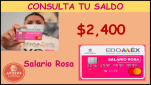 ¿Cómo consultar el Salario Rosa? Aquí te decimos como…