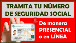 ¿Cómo tramitar mi número de seguridad social? Aquí te damos los pasos