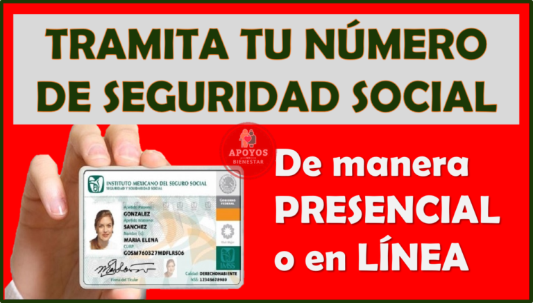 Número De Seguridad Social