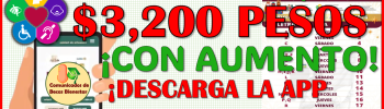 Pension Bienestar de Discapacidad 2025 ¡Primer calendario oficial de pagos del bimestre Enero-Febrero