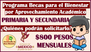 Programa de Becas para el Bienestar por Aprovechamiento 2024 ¡CONOCELA AQUÍ!