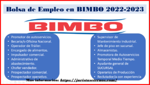 Conoce todas las nuevas vacantes 2022-2023 para la Empresa BIMBO: Aquí te decimos todo lo que necesitas saber.