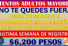 Te explico como UBICAR TU MODULO: Registro en la Pensión Bienestar del Adulto Mayor