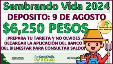 Atento aviso para el Programa de Sembrando Vida 2024, en esta fecha se te realiza tu siguiente deposito