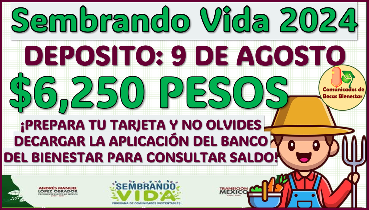 Atento aviso para el Programa de Sembrando Vida 2024, en esta fecha se te realiza tu siguiente deposito