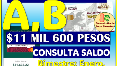 Comienzan los primeros DEPÓSITO DOBLES para estos alumnos de las Becas del Bienestar 2026