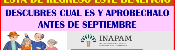 ATENCIÓN BENEFICIARIOS DEL INAPAM DESCUBRE ESTA BENEFICIO QUE ESTA DE REGRESO PARA TODOS LOS ADULTOS MAYORES