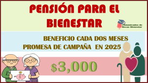 Claudia Sheinbaum ha presentado una innovadora propuesta de apoyo destinada a reducir la brecha socioeconómica para mujeres de entre 60 y 64 años, con el objetivo principal de ayudar a aquellas que más lo necesitan.