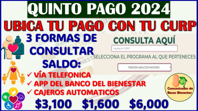 Así podrás UBICAR TU PAGO con tu CURP en las Pensiones del Bienestar 2024: Septiembre-Octubre