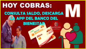 Hoy cobras ADULTO MAYOR y PERSONAS CON DISCAPACIDAD, consulta tu saldo