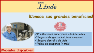 ¿Estás buscando trabajo? Entérate de las vacantes disponibles que “Linde” puede ofrecerte