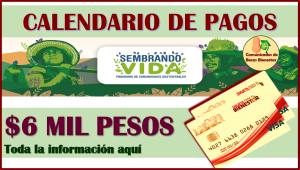 CALENDARIO DE PAGOS del Programa Sembrando Vida, aquí toda la información