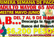 Primera semana de depósitos bimestre MAYO-JUNIO: Pensión Bienestar del Adulto Mayor