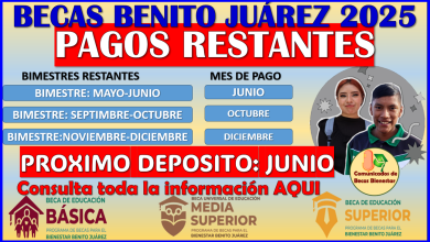 Pagos restantes de las Becas Benito Juárez 2025, consulto aquí