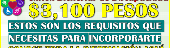 ¿Que necesitas para formar parte de la Pensión Bienestar de Discapacidad? aquí te explico