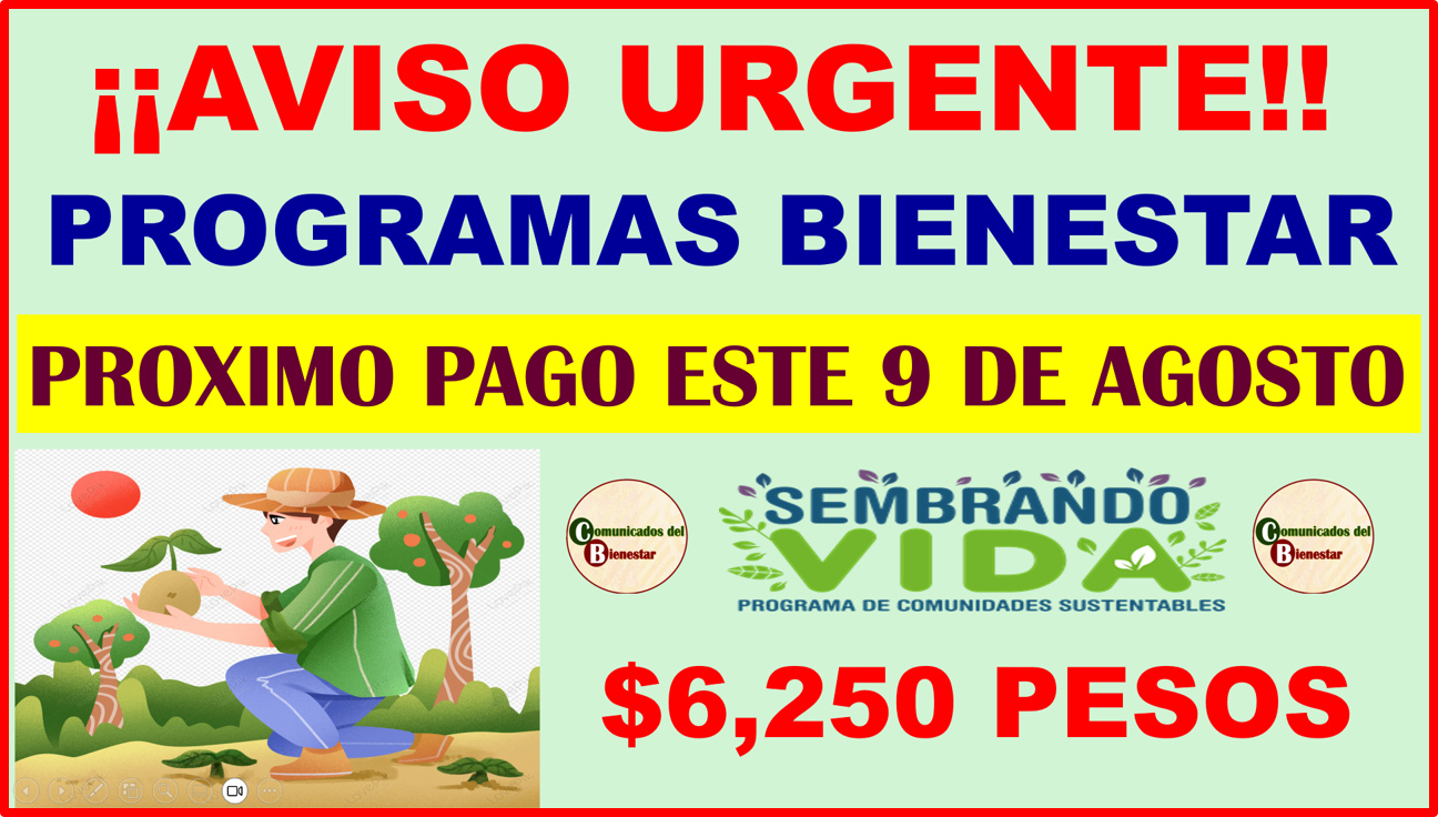 AVISO IMPORTANTE NUEVO PAGO BIENESTAR ESTA SEMANA DESCUBRE QUIENES COBRARAN ESTE PROXIMO 9 DE AGOSTO $6,250 PESOS