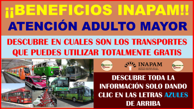 MUCHA ATENCIÓN ADULTO MAYOR CONOCE LOS TRANSPORTES PUBLICOS QUE TIENEN ACCESOS GRATIS PARA TODOS LOS ADULTOS MAYORES CON SU TARJETA INAPAM