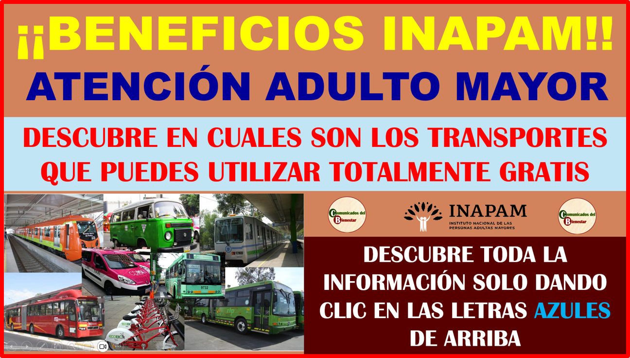 MUCHA ATENCIÓN ADULTO MAYOR CONOCE LOS TRANSPORTES PUBLICOS QUE TIENEN ACCESOS GRATIS PARA TODOS LOS ADULTOS MAYORES CON SU TARJETA INAPAM