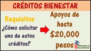 ¡ATENCIÓN CONOCE LOS MICROCRÉDITOS O TANDAS BIENESTAR!