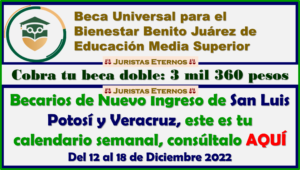 Atención Becarios de Nuevo Ingreso de San Luis Potosí y Veracruz, este es tu calendario de atención