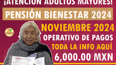 Fechas y montos de la Pensión Bienestar en noviembre: ¡Consulta cuándo recibirás tu pago!