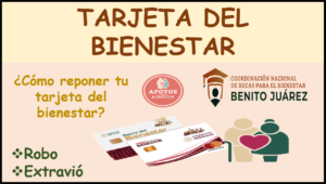 ¿Qué puedo hacer si perdí mi Tarjeta del Bienestar?