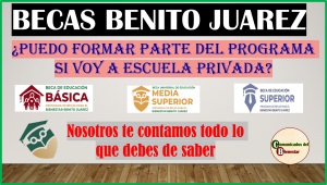 BECA BENITO JUAREZ ¿PUEDO SER PARTE DE ESTE PROGRAMA SI ESTUDIO EN UNA INSTITUCION PRIVADA O EN LINEA?